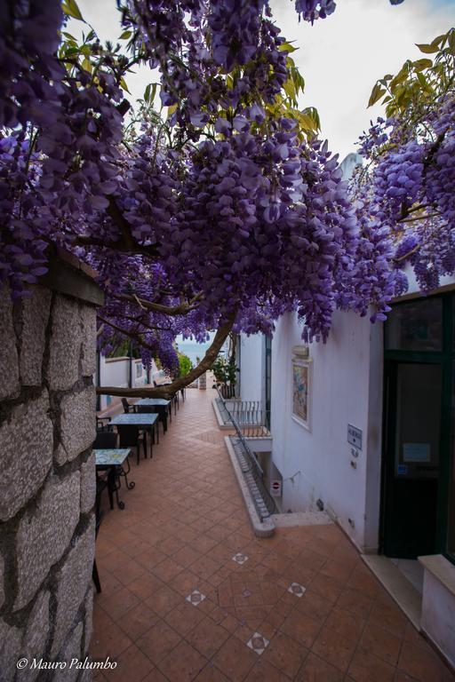 Hotel 4 Stagioni Капри Экстерьер фото